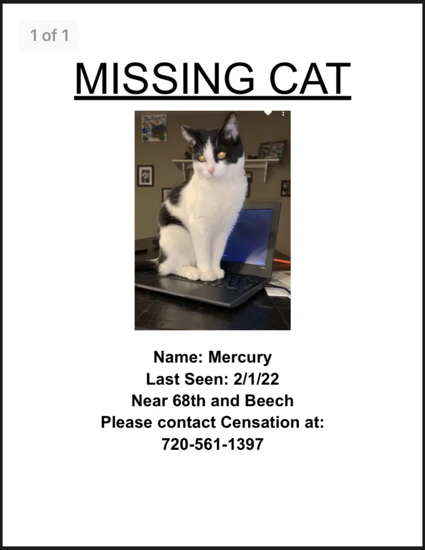 Lost cat in Arvada, CO, 80004