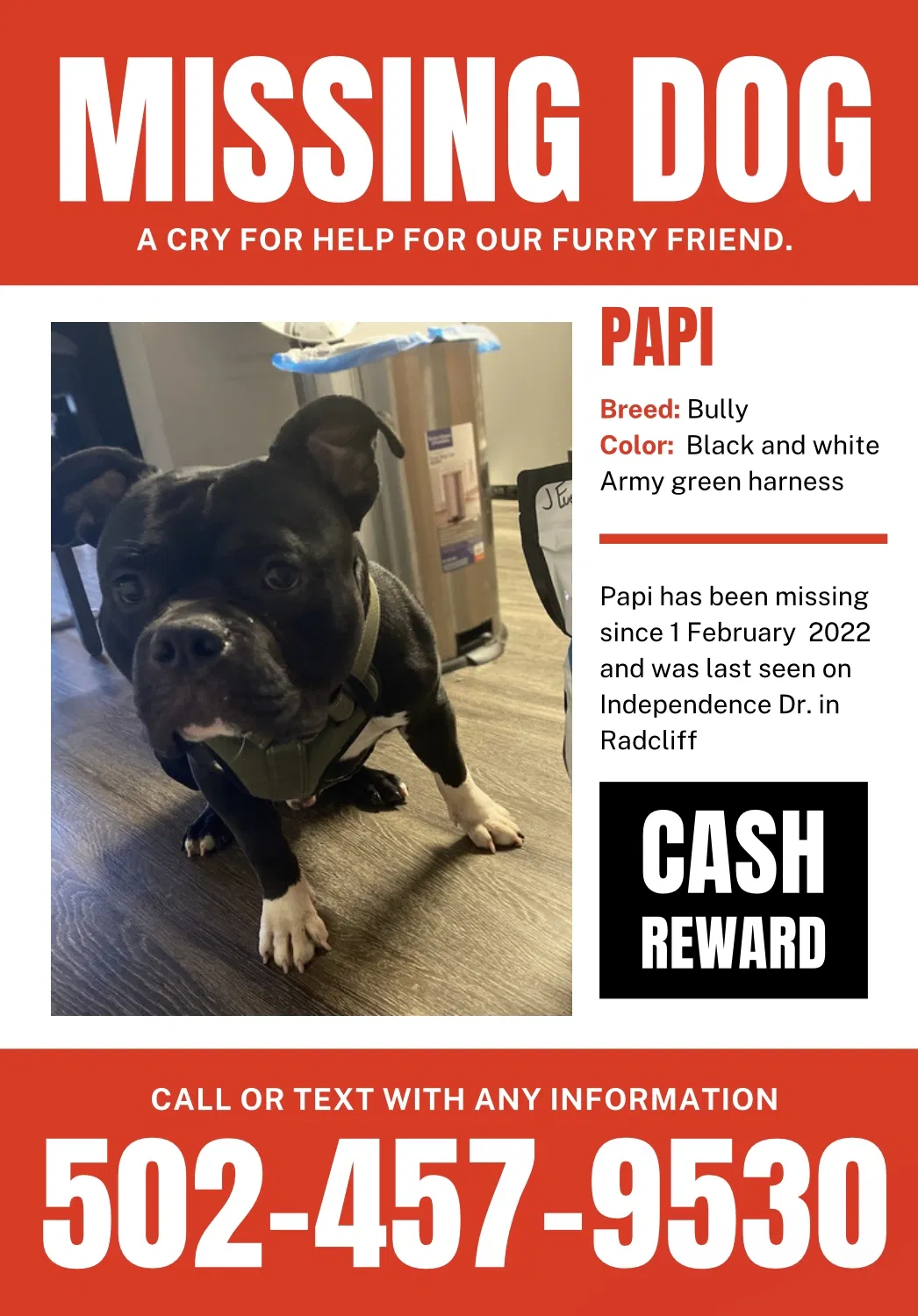 Lost dog in Radcliff, KY, 40160