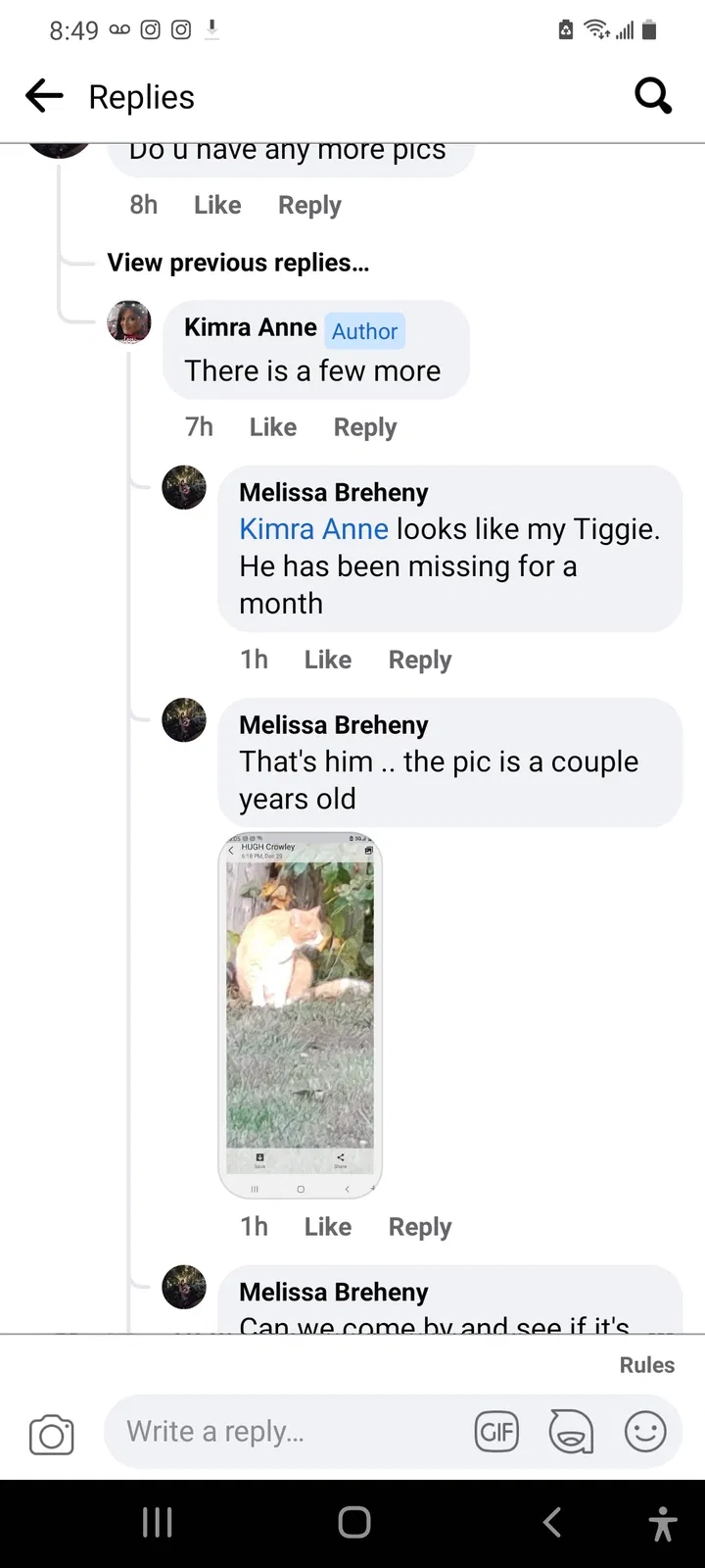 Lost cat in Unknown, TN, 37