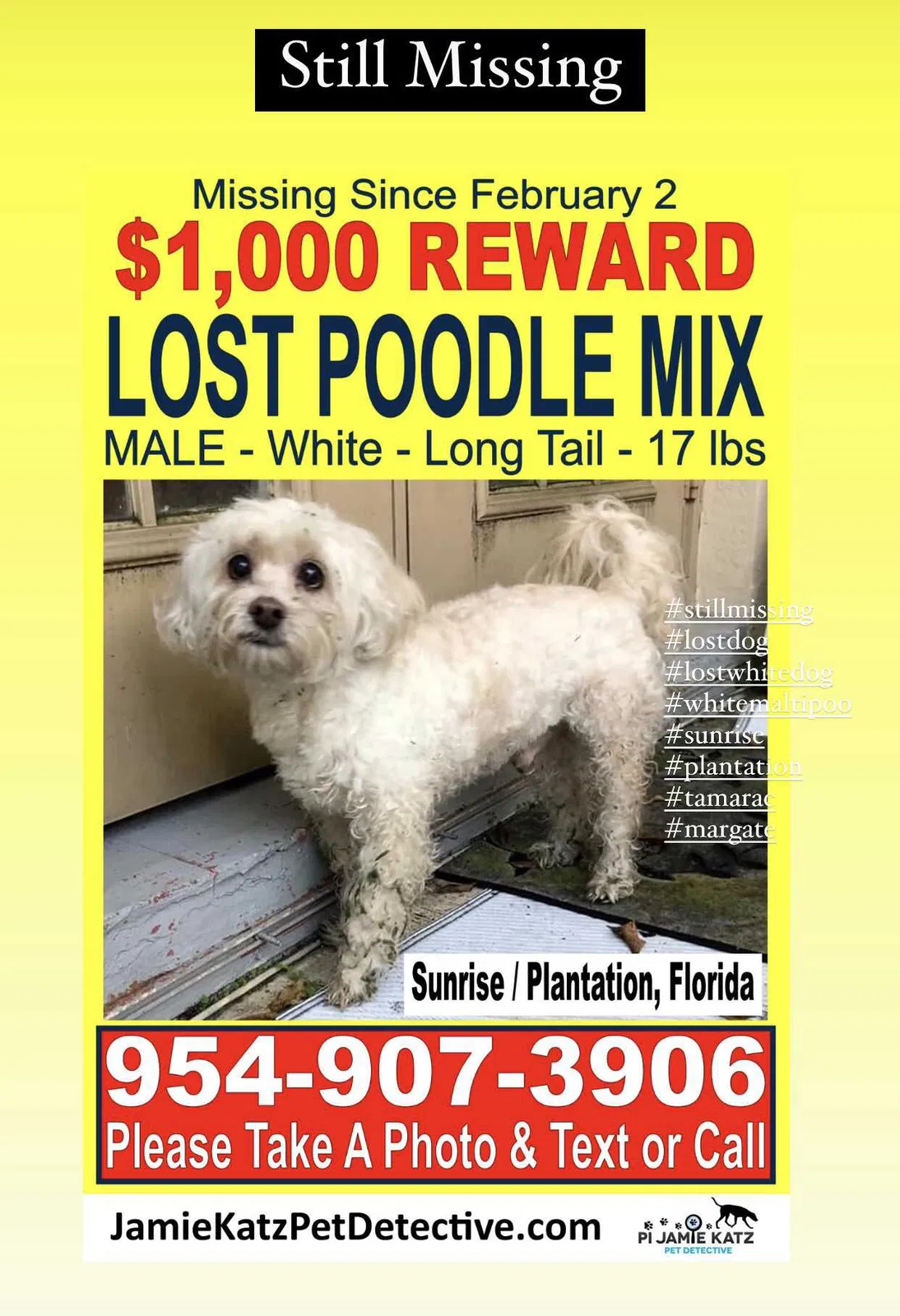Lost dog in Fort Lauderdale, FL, 33313