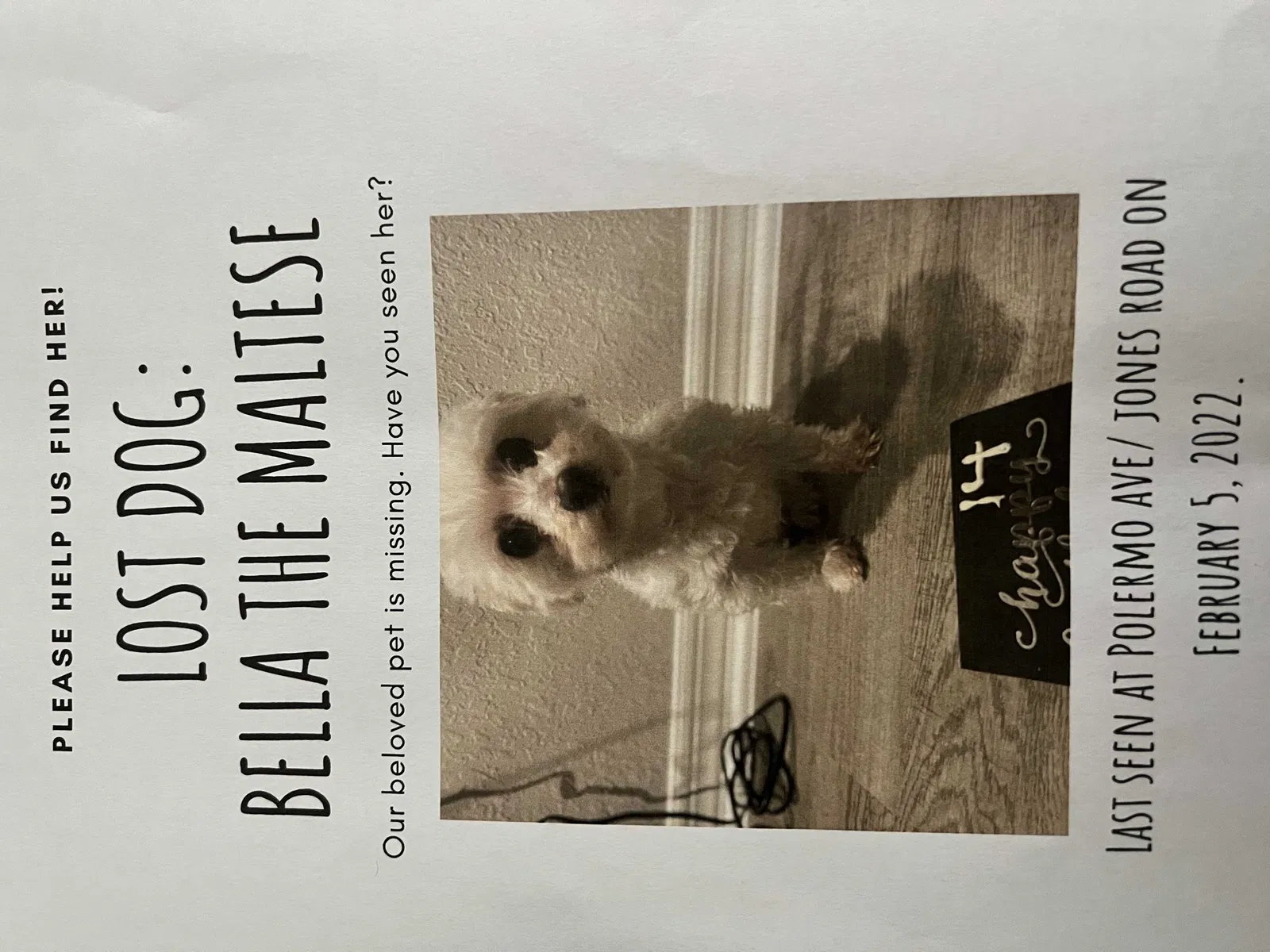 Lost dog in Saint Cloud, FL, 34771