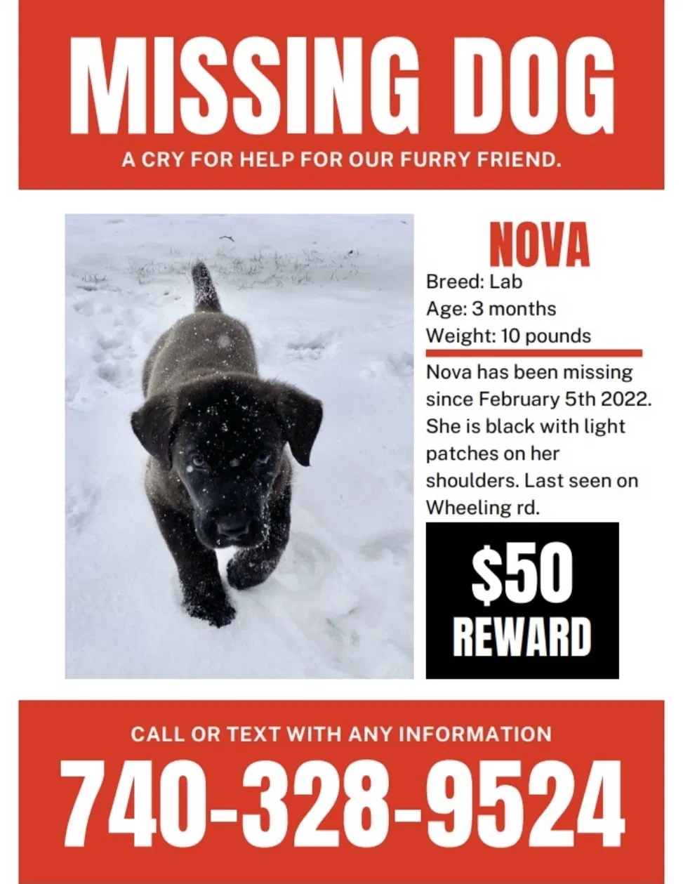 Lost dog in Lancaster, OH, 43130