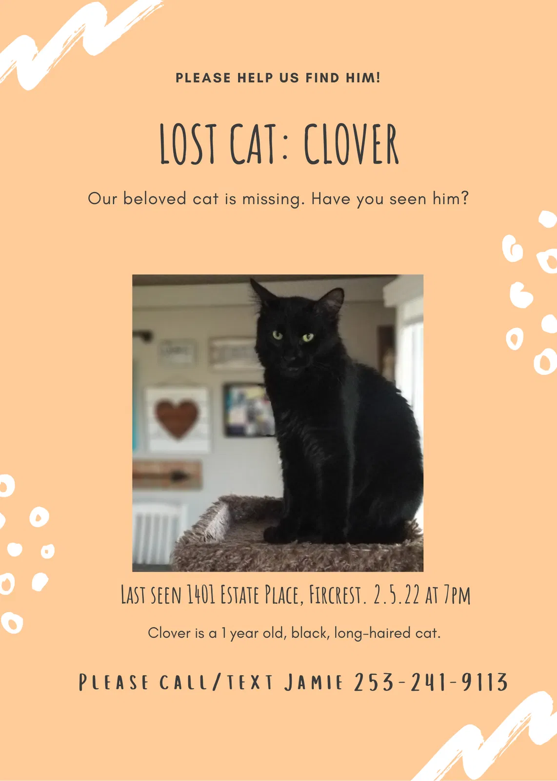 Lost cat in Tacoma, WA, 98466