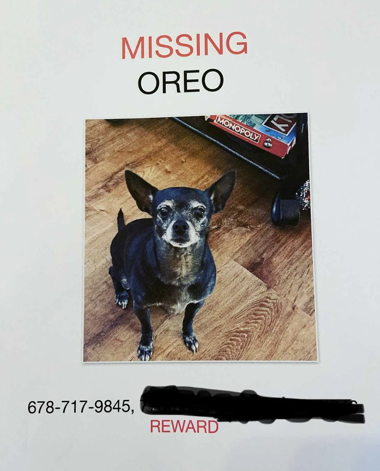 Lost dog in Oakwood, GA, 30566