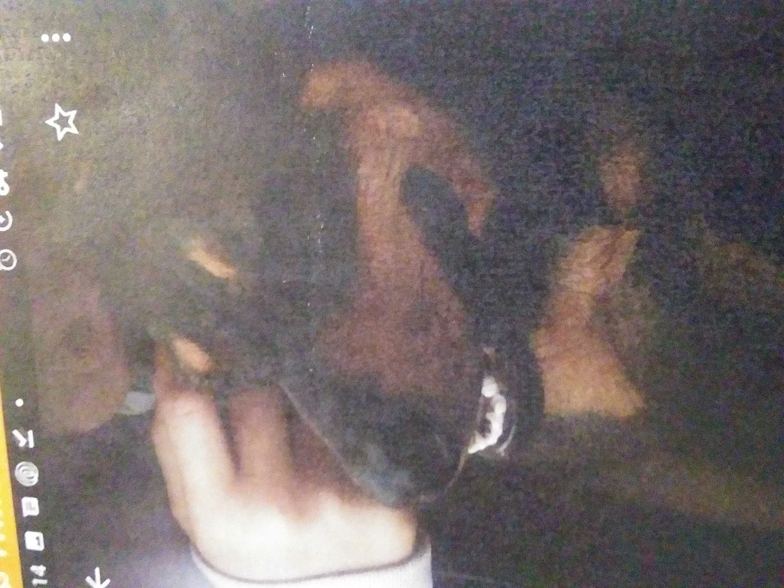 Lost dog in Oklahoma City, OK, 73108