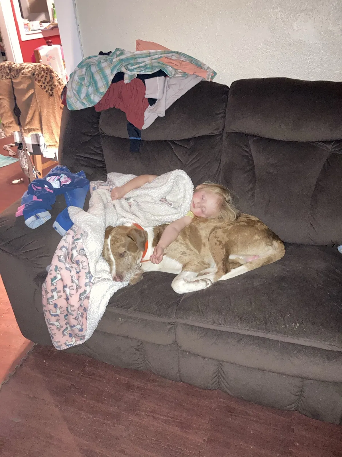 Lost dog in Okemah, OK, 74859