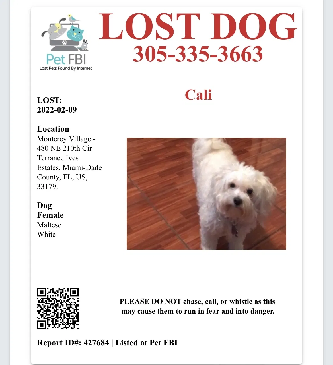 Lost dog in Miami, FL, 33178