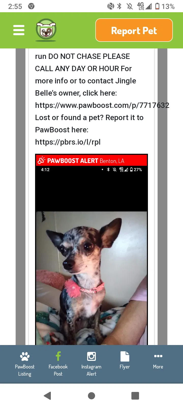 Lost dog in Benton, LA, 71006