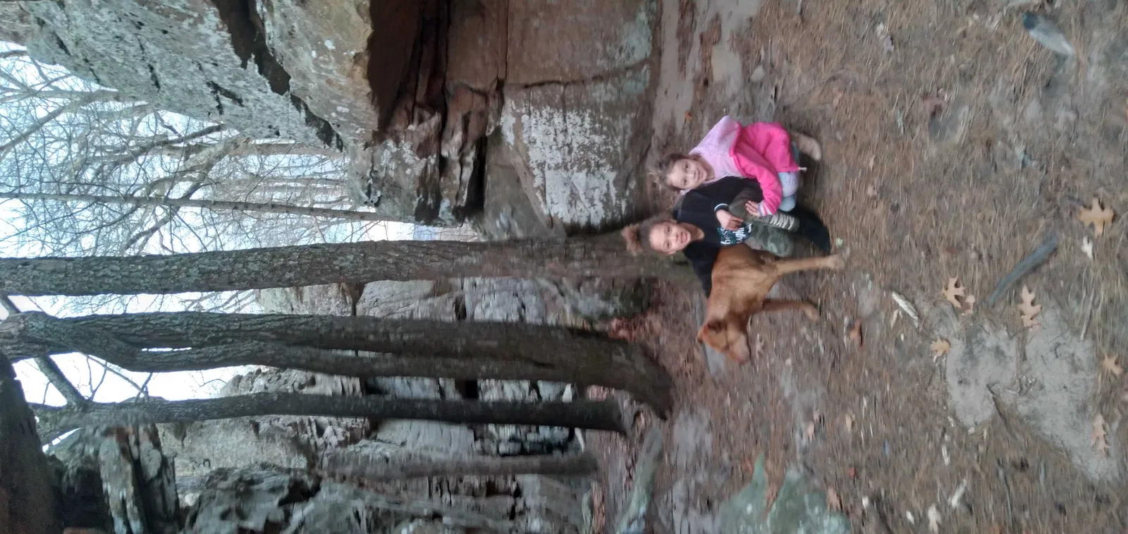 Lost dog in Pelsor, AR, 72856