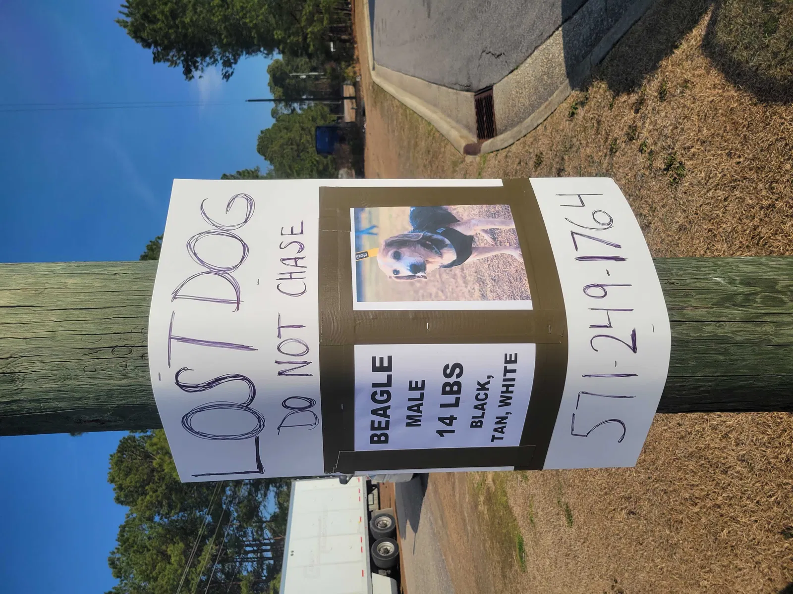 Lost dog in Fayetteville, NC, 28311