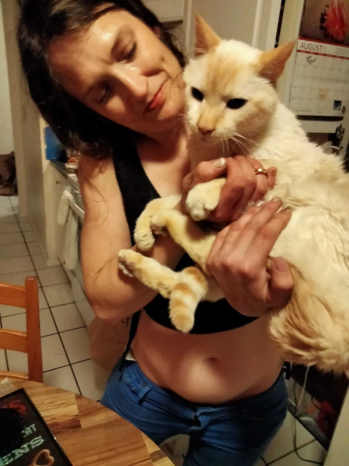 Lost cat in Bothell, WA, 98011