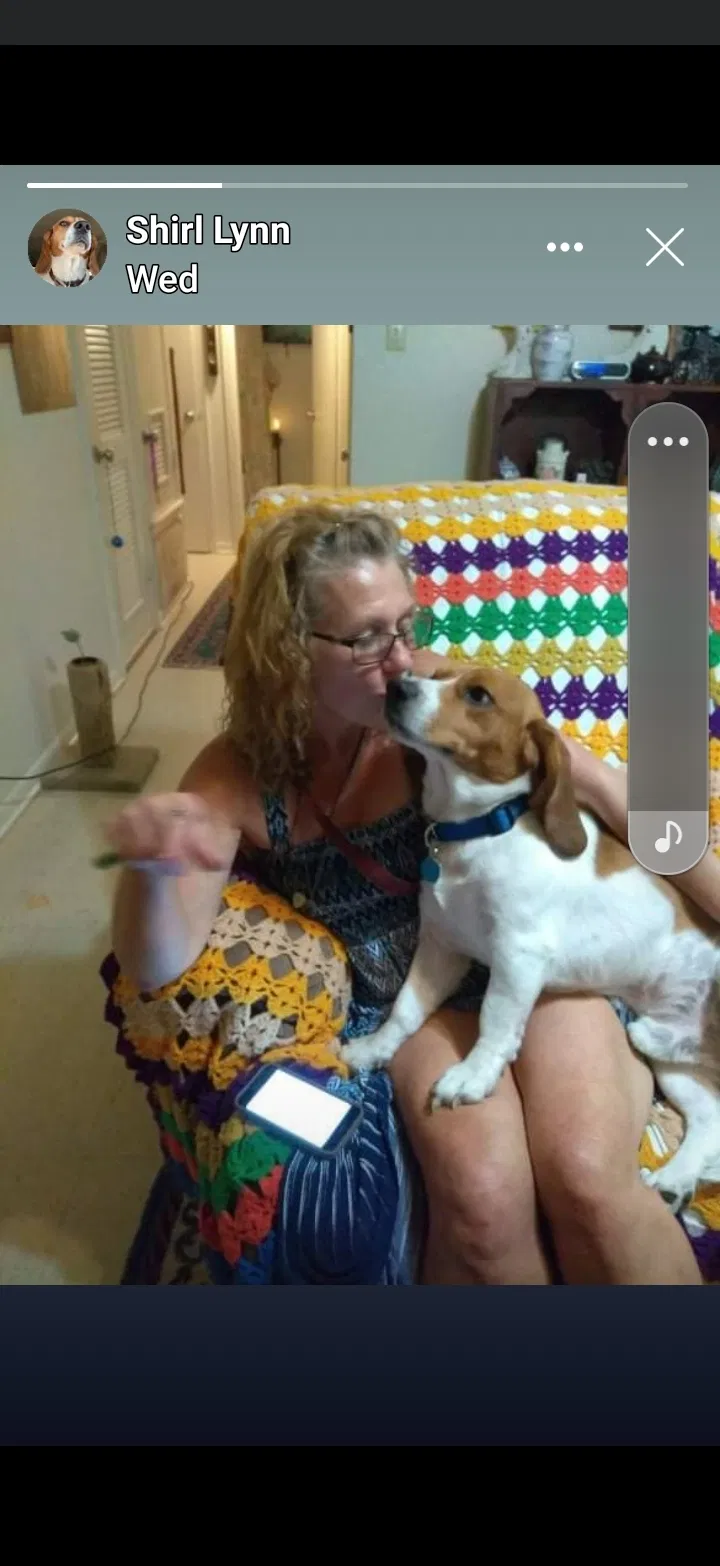 Lost dog in Livingston, TX, 77351