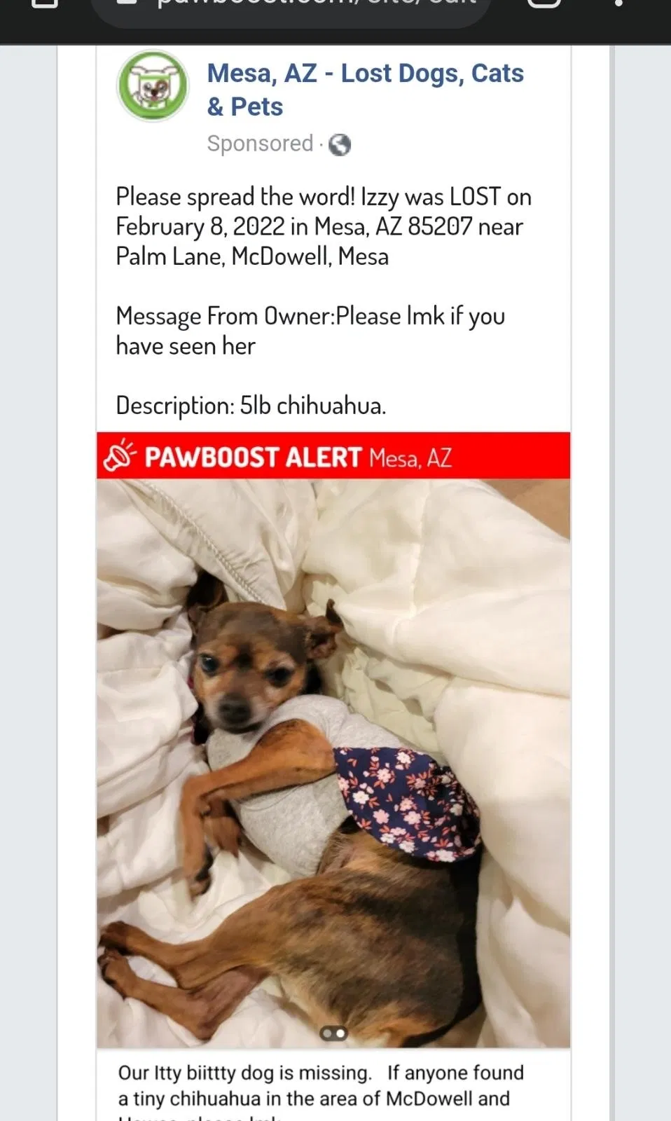 Lost dog in Mesa, AZ, 85207