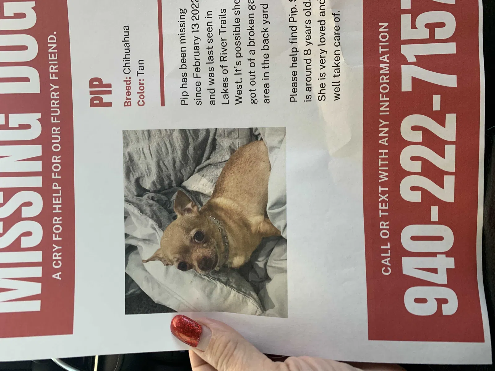 Lost dog in Fort Worth, TX, 76118