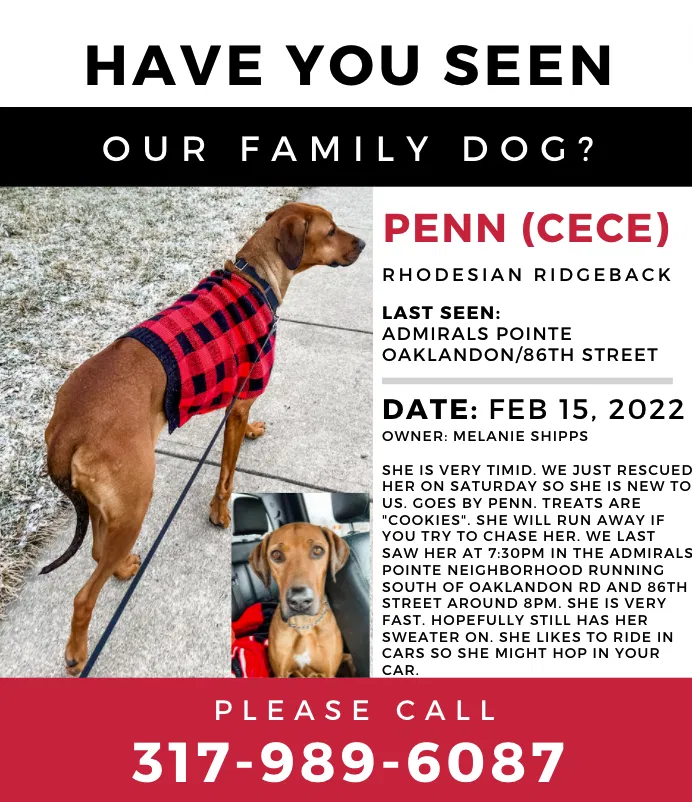 Lost dog in Indianapolis, IN, 46236