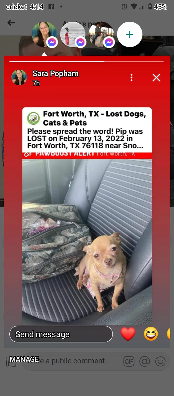 Lost dog in Fort Worth, TX, 76113