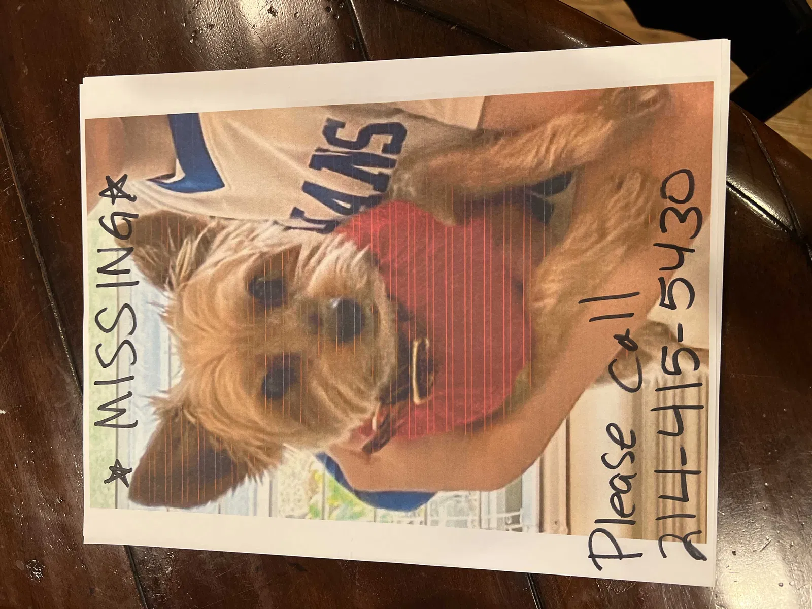 Lost dog in Dallas, TX, 75248