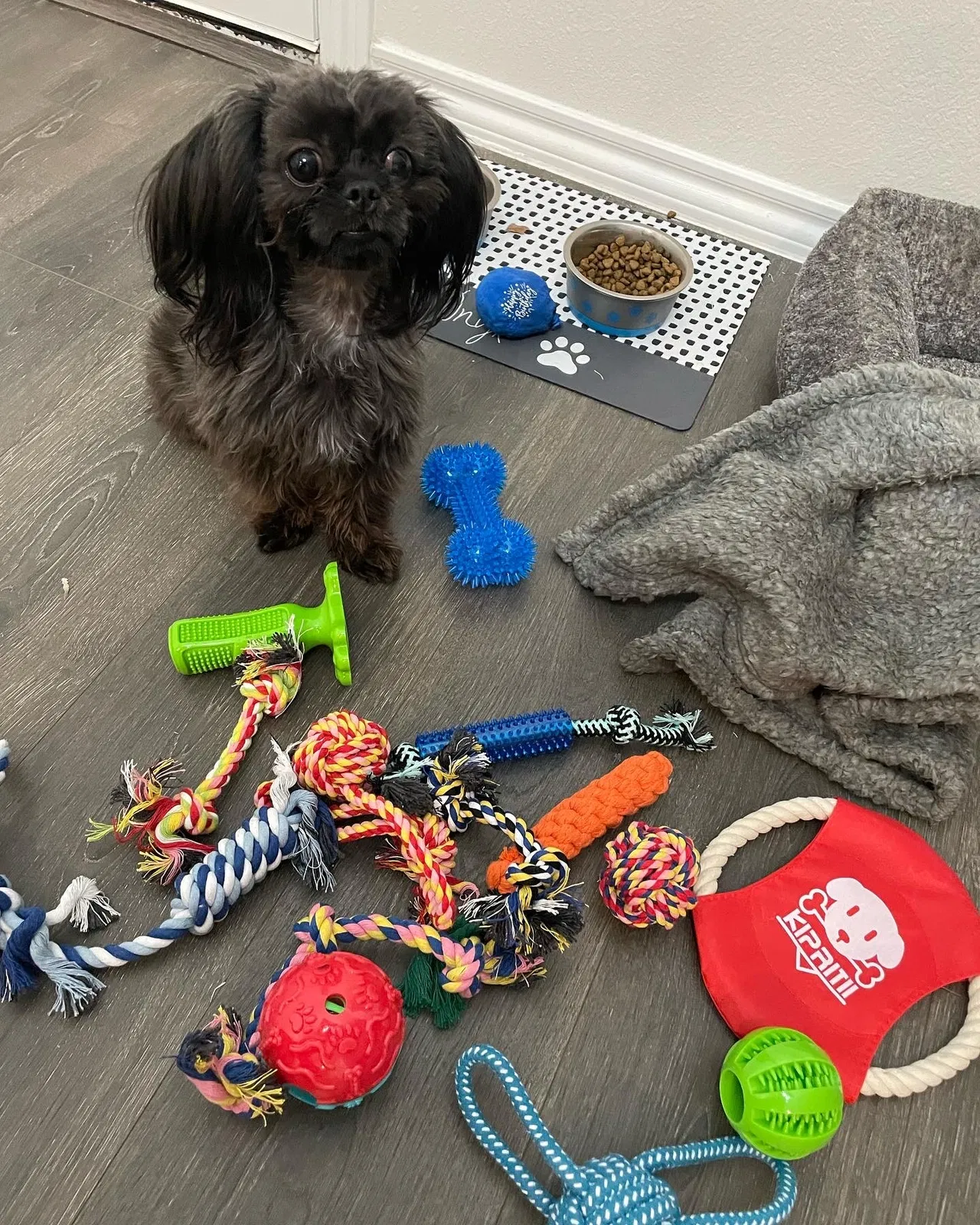Lost dog in Forney, TX, 75126