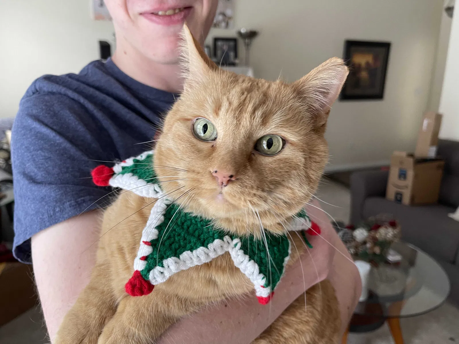 Lost cat in Sandy, UT, 84070