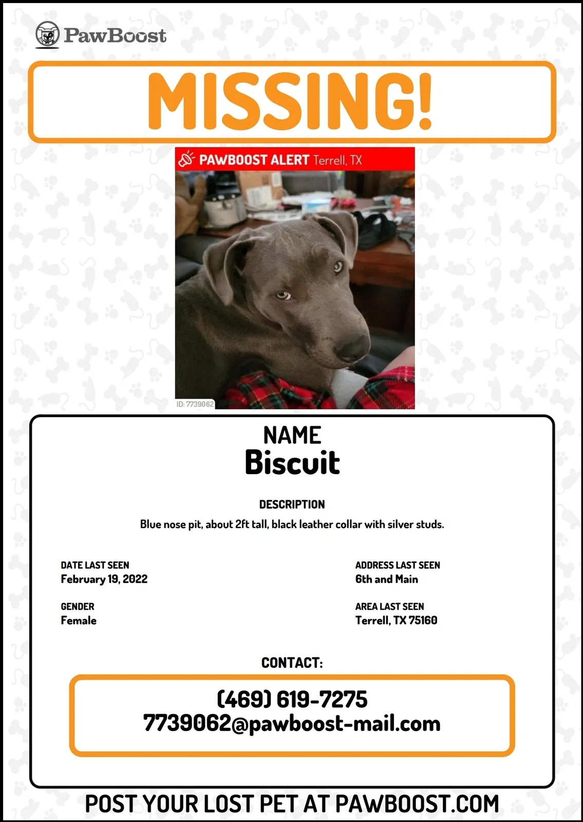 Lost dog in Terrell, TX, 75160