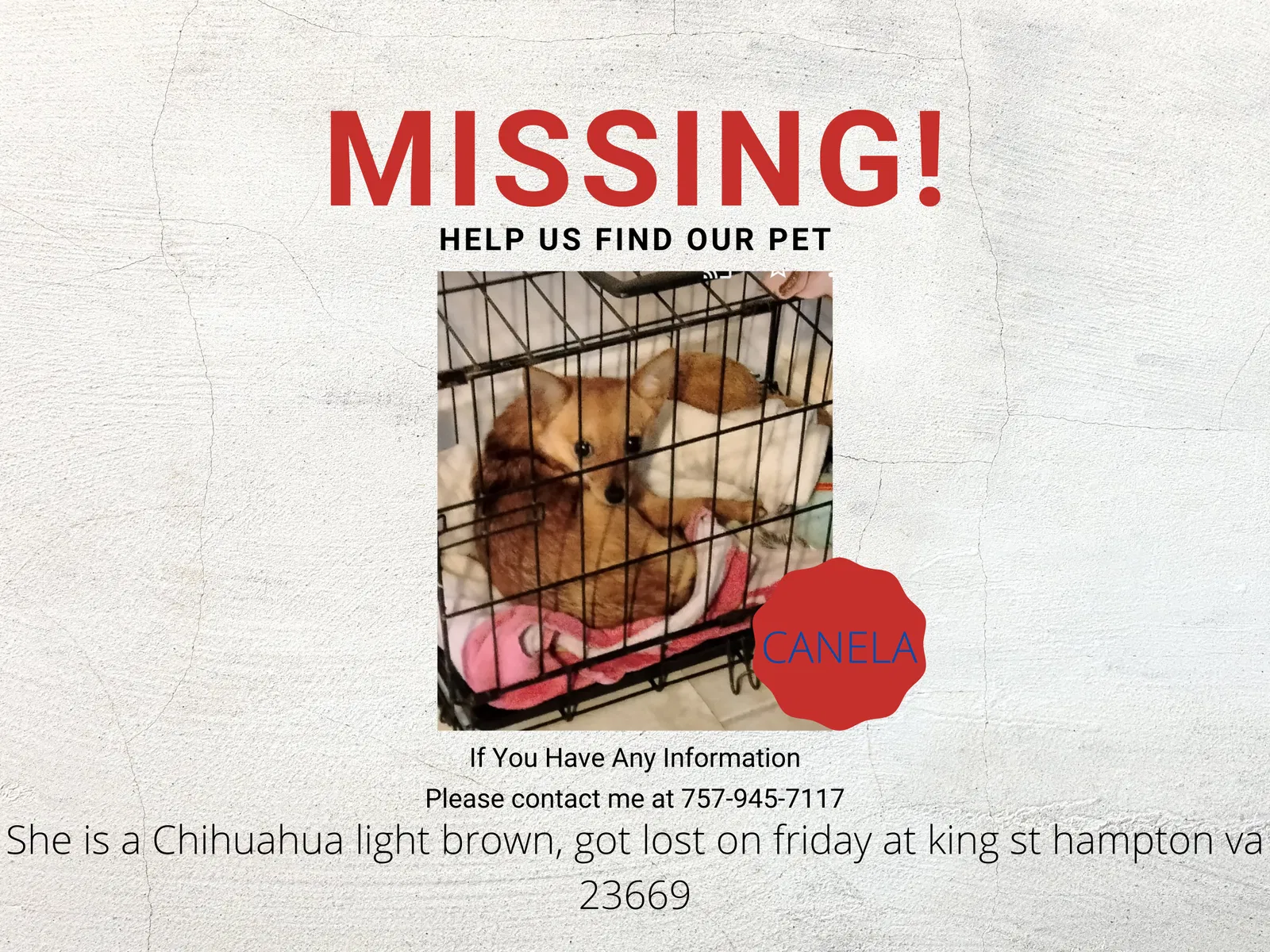 Lost dog in Hampton, VA, 23669