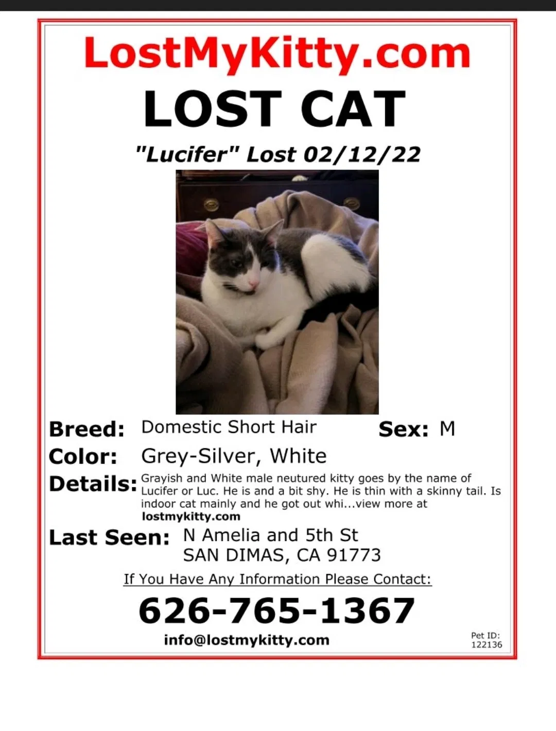 Lost cat in San Dimas, CA, 91773