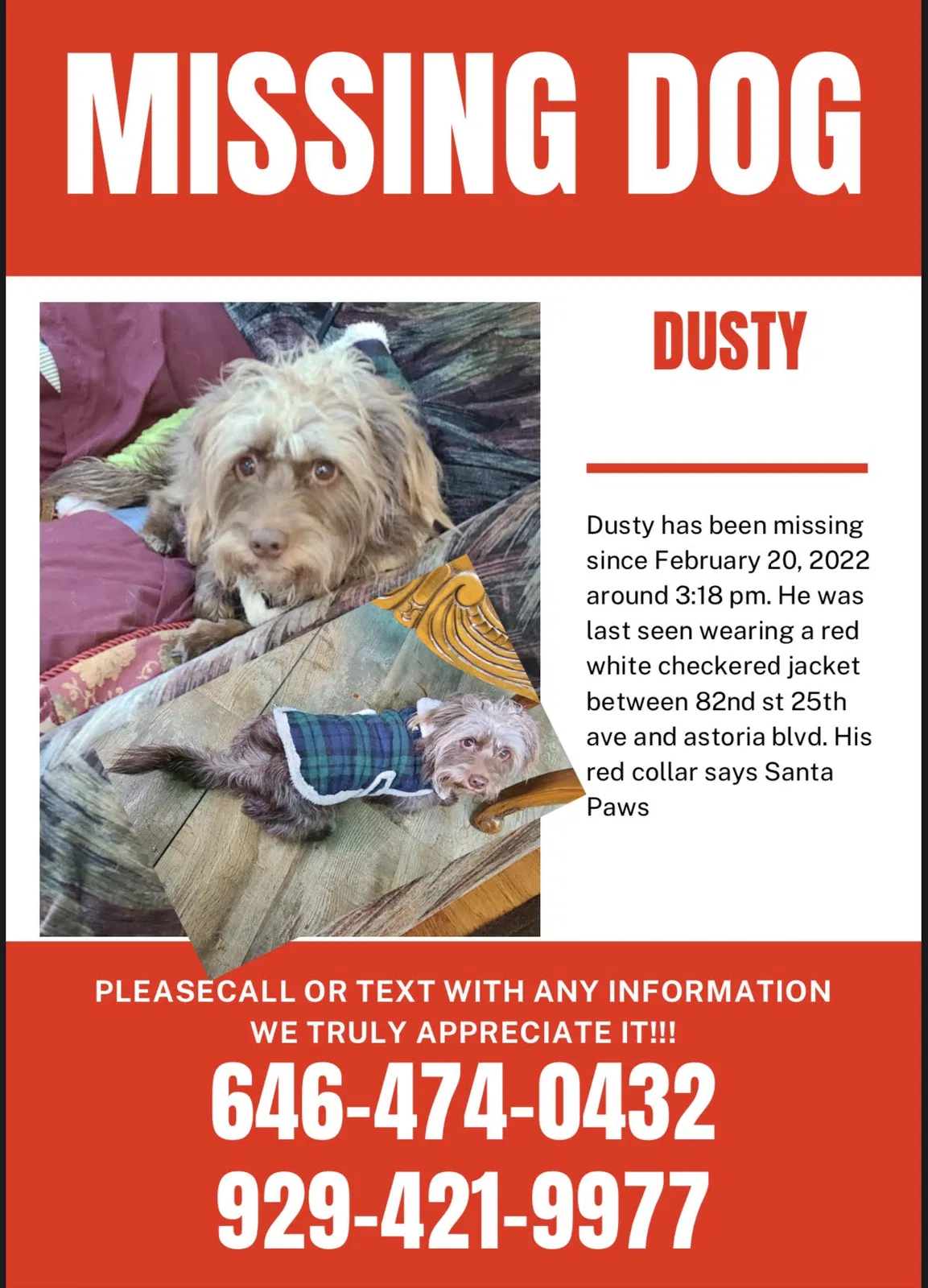 Lost dog in East Elmhurst, NY, 11370