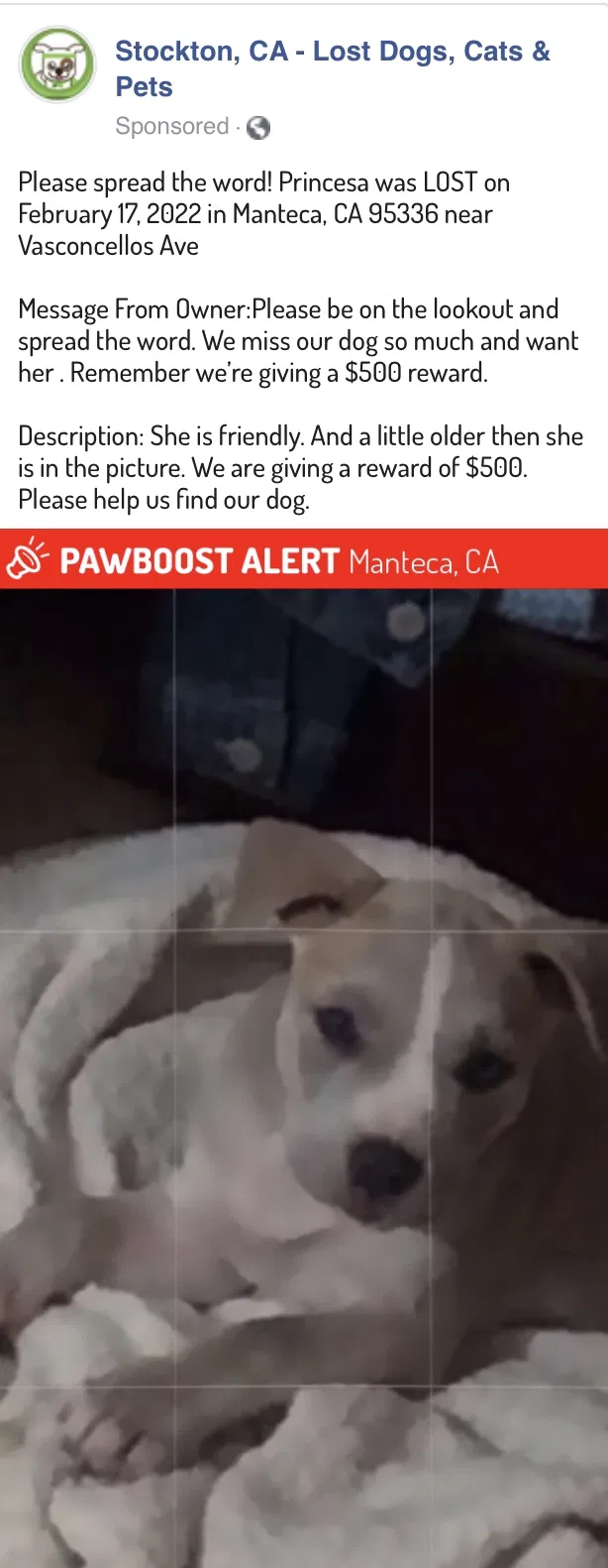 Lost dog in Manteca, CA, 95336