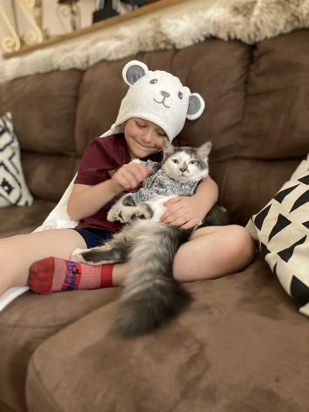 Lost cat in Chandler, AZ, 85225