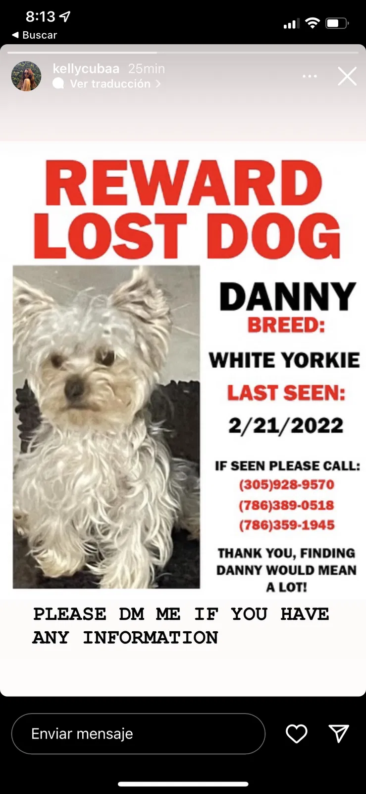 Lost dog in Miami, FL, 33155