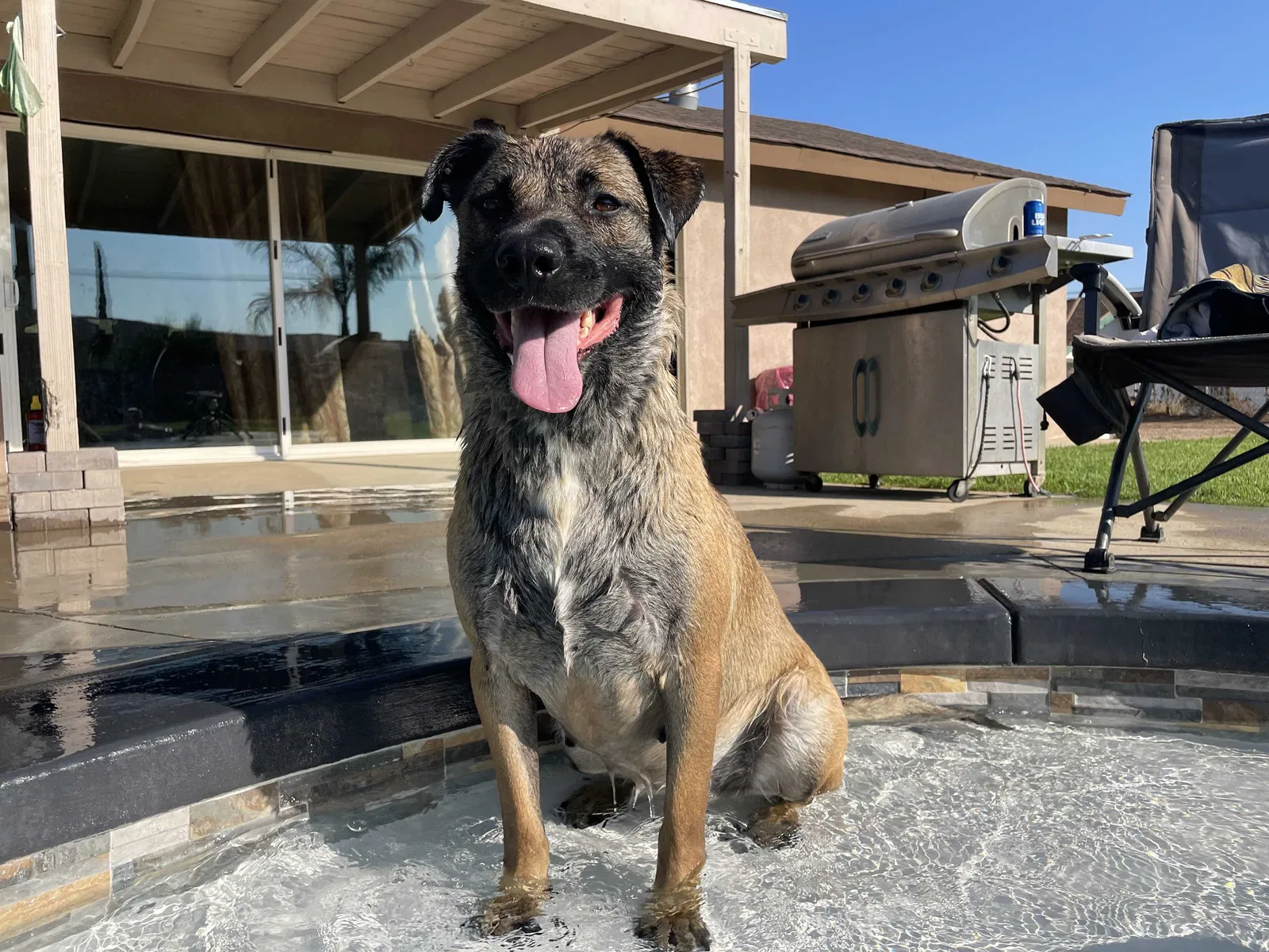 Lost dog in Beaumont, CA, 92223