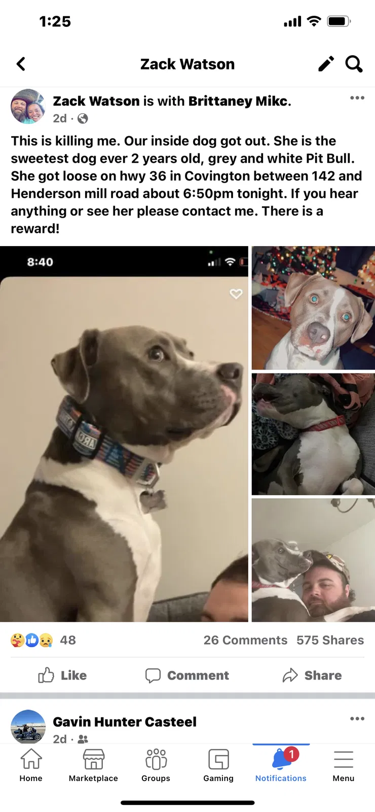 Lost dog in Covington, GA, 30014
