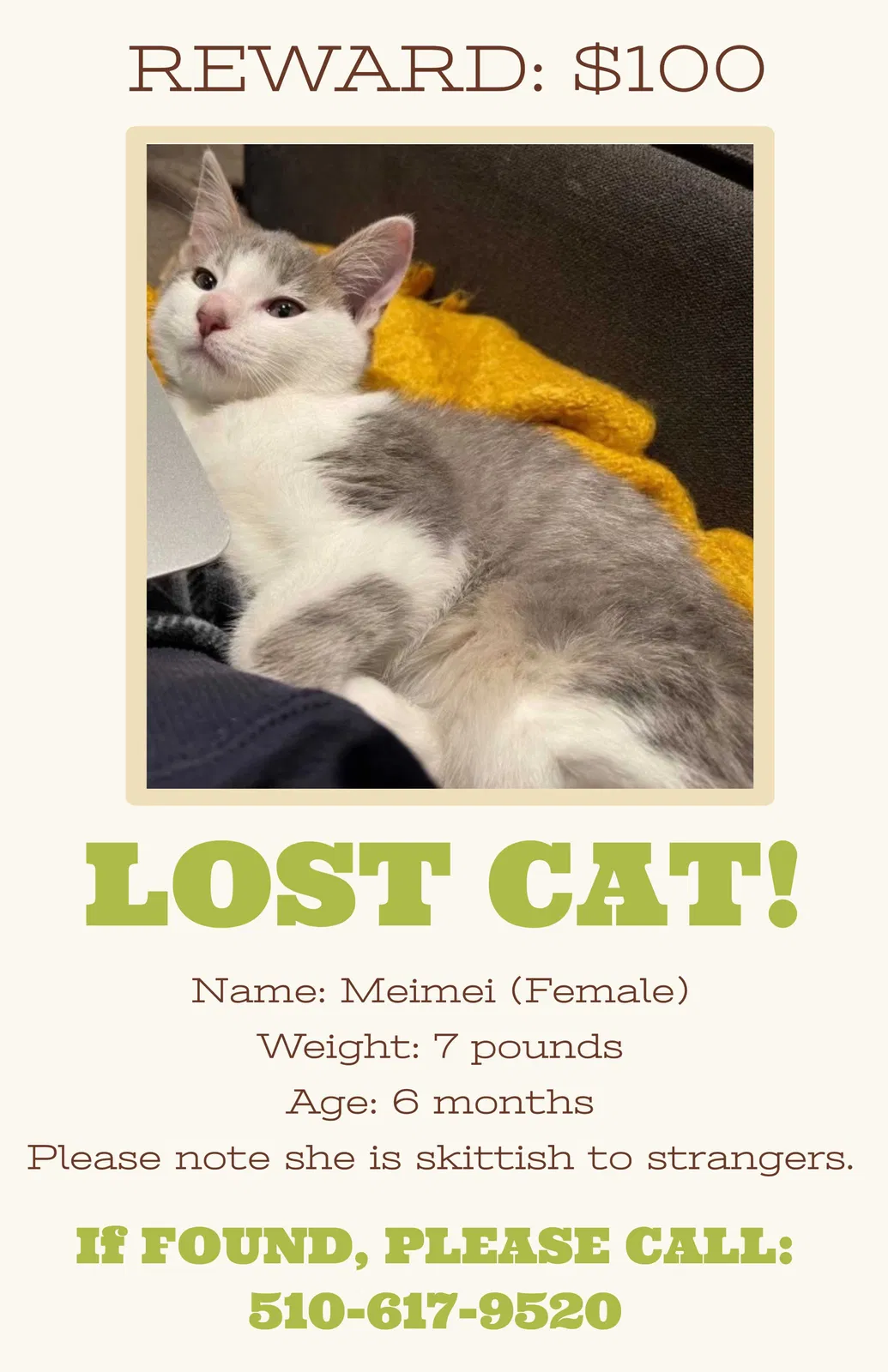 Lost cat in Sunnyvale, CA, 94087