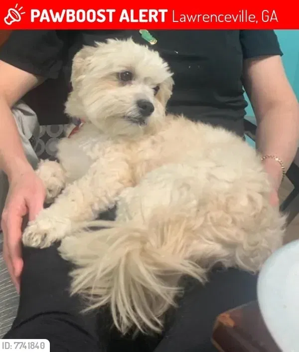 Lost dog in Lawrenceville, GA, 30044