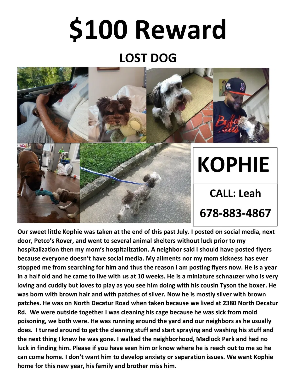 Lost dog in Decatur, GA, 30033