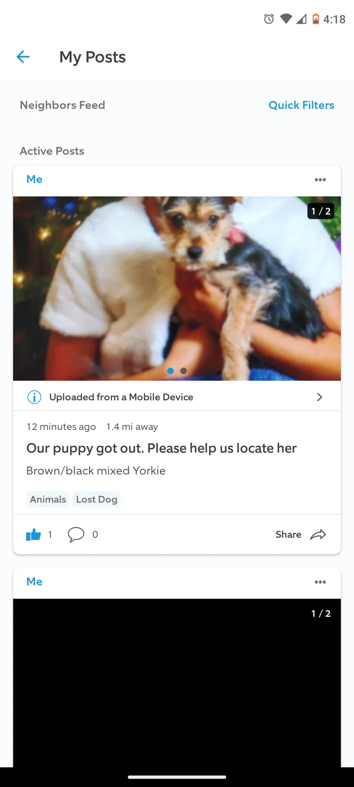 Lost dog in Bakersfield, CA, 93307