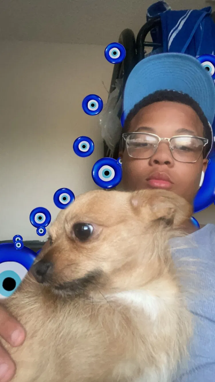 Lost dog in Converse, TX, 78109