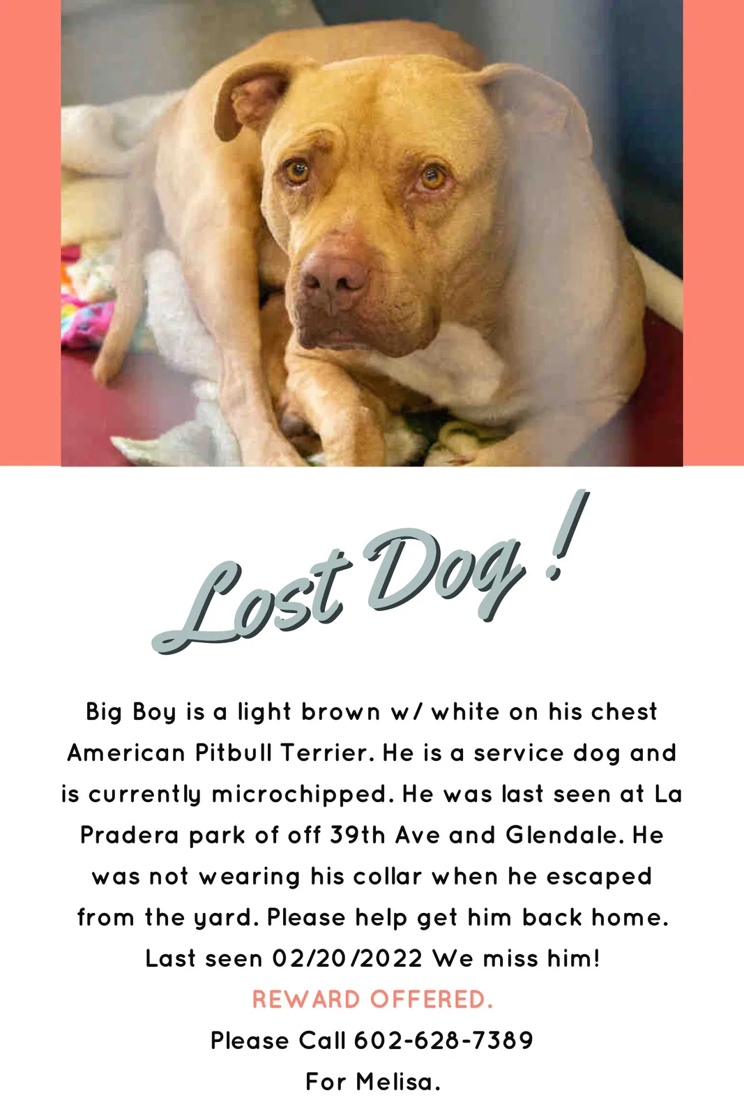 Lost dog in Phoenix, AZ, 85019