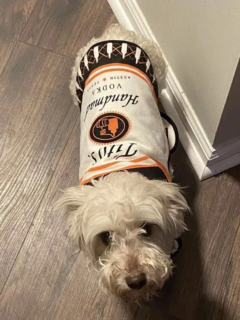 Lost dog in Montgomery, AL, 36117