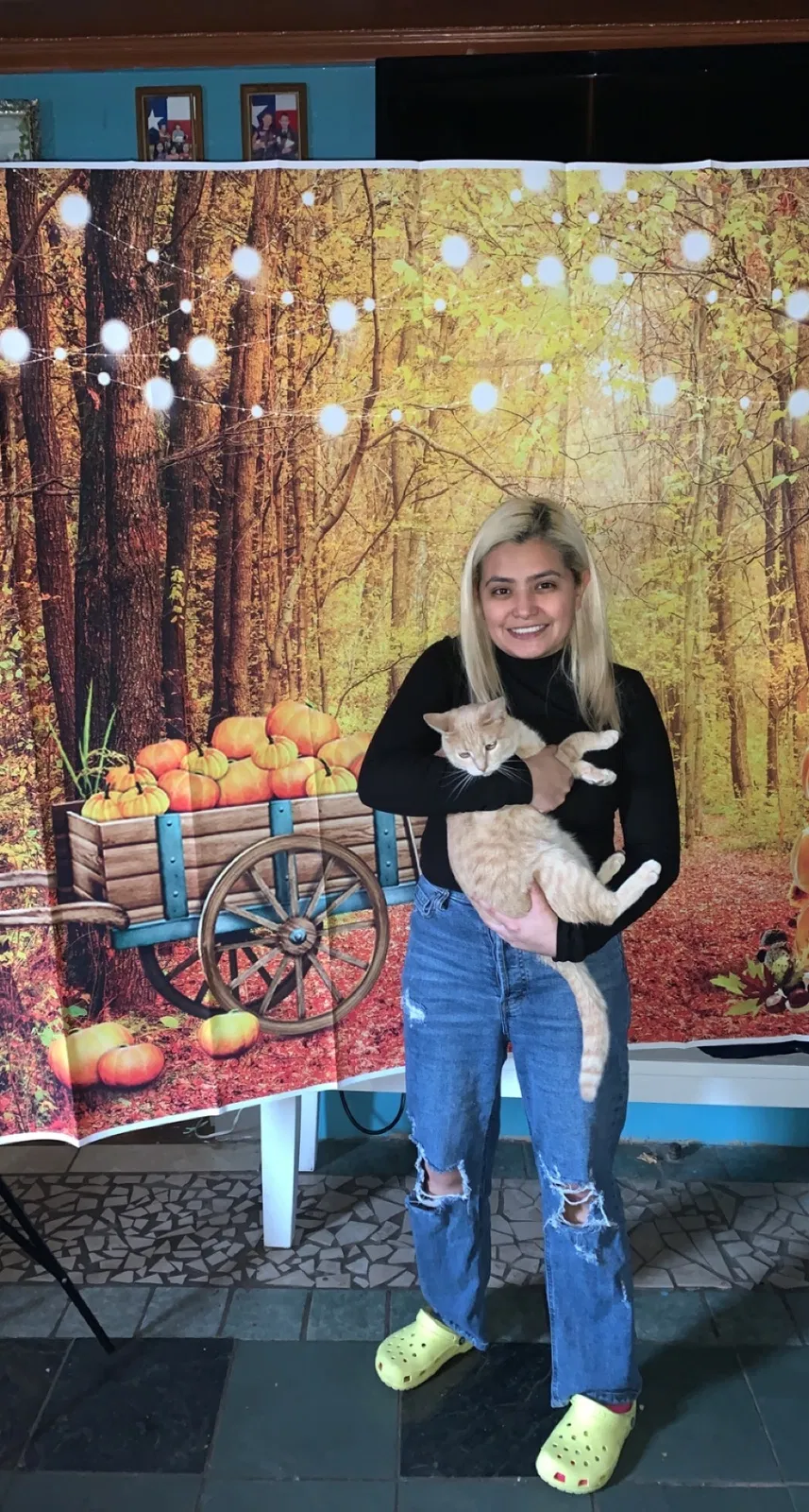 Lost cat in Fort Worth, TX, 76114