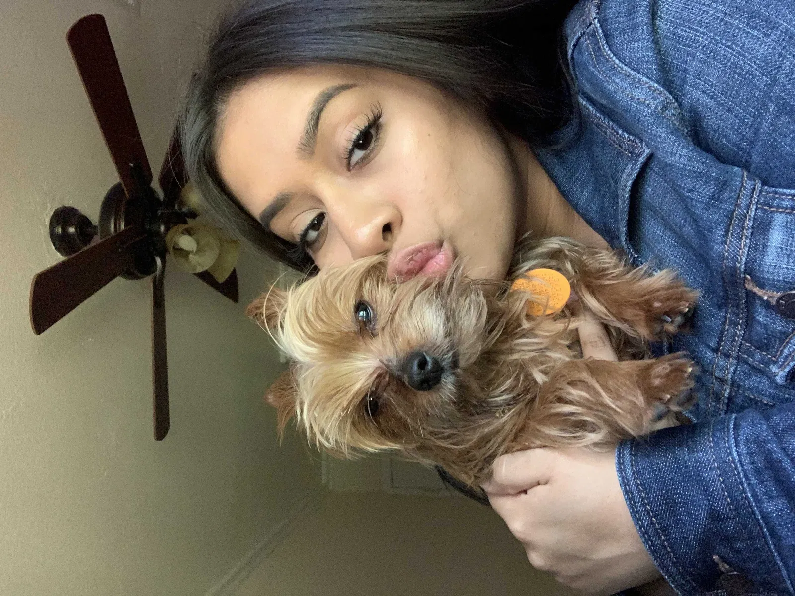 Lost dog in San Antonio, TX, 78217