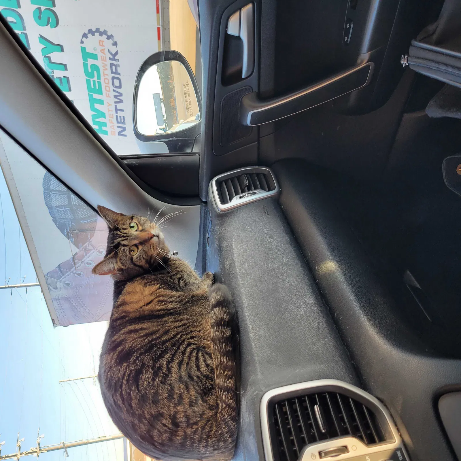 Lost cat in Saint Charles, MO, 63301