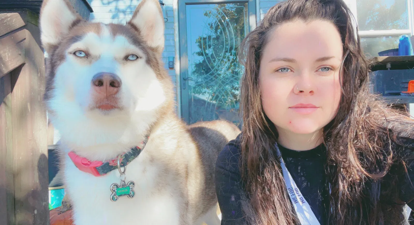 Lost dog in Chesapeake, VA, 23325