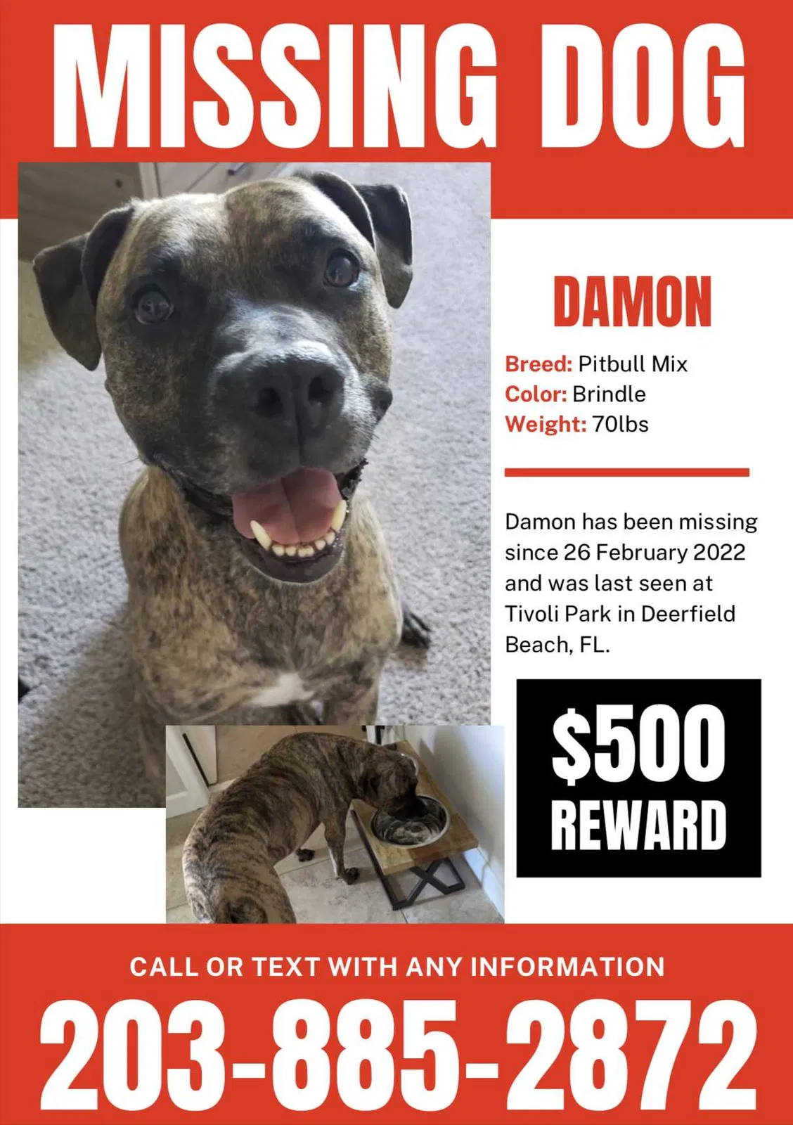 Lost dog in Deerfield Beach, FL, 33441