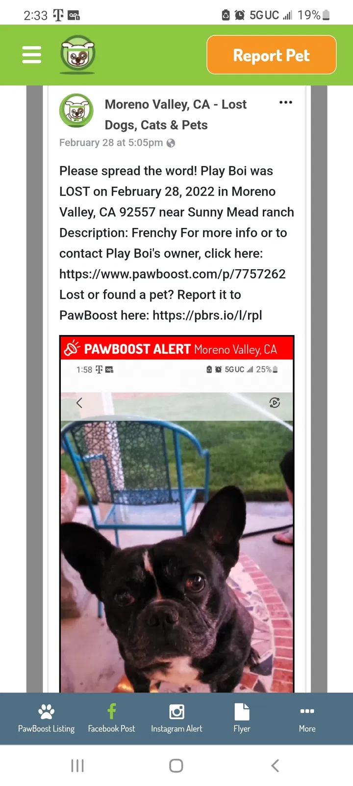 Lost dog in Moreno Valley, CA, 92557
