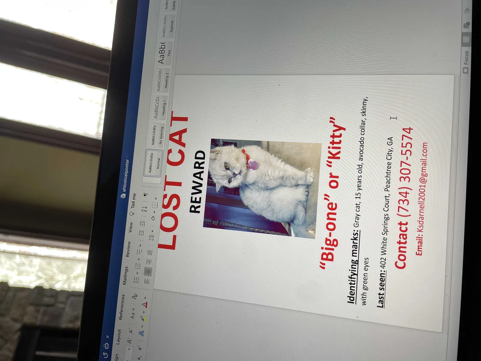 Lost cat in Peachtree City, GA, 30269