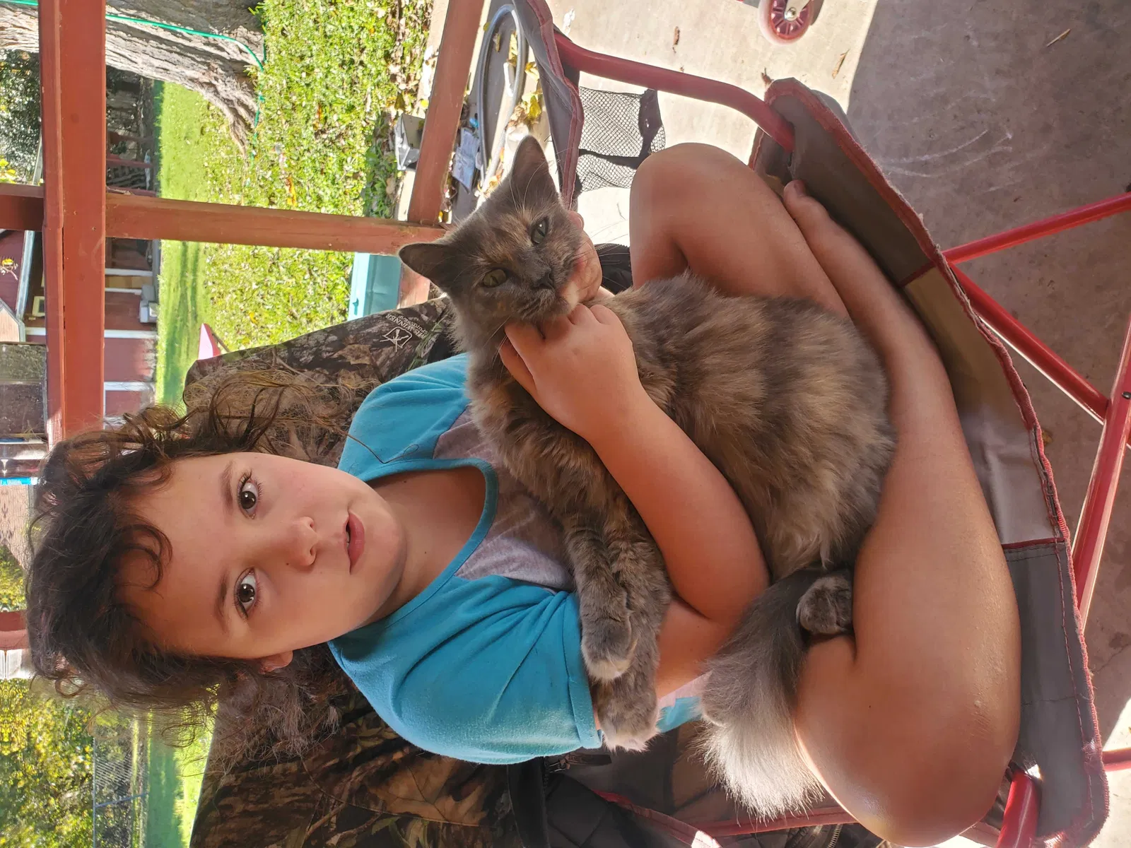 Lost cat in Hillsboro, TX, 76645