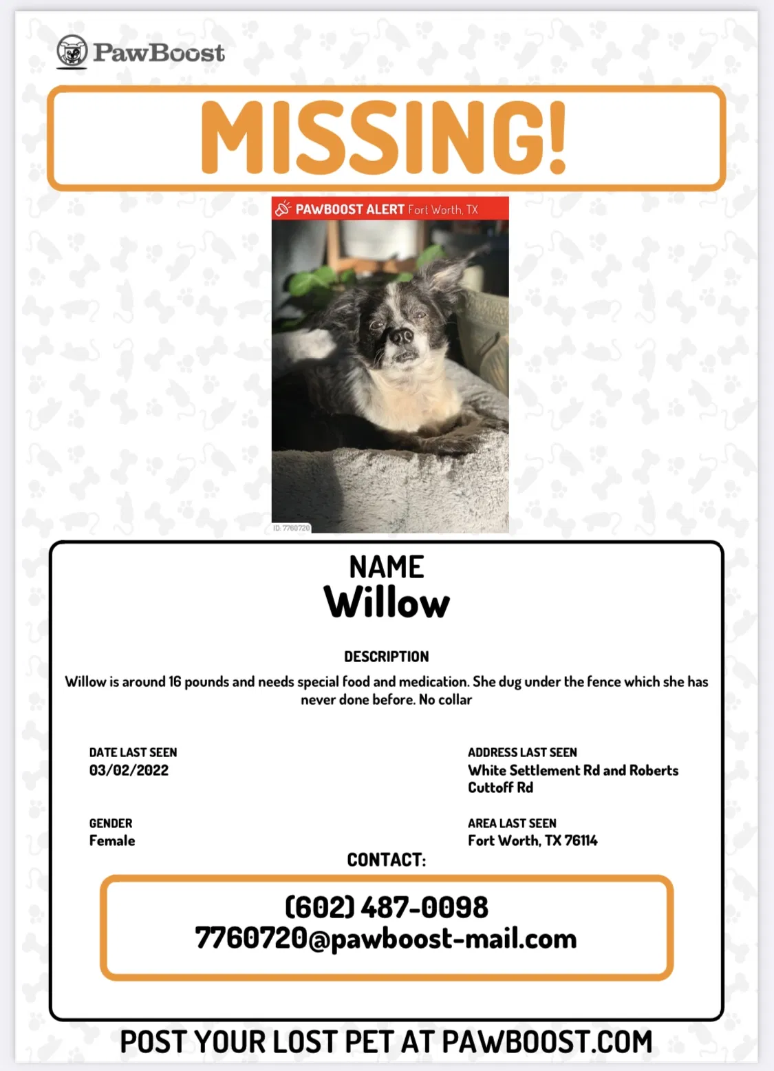 Lost dog in Fort Worth, TX, 76114