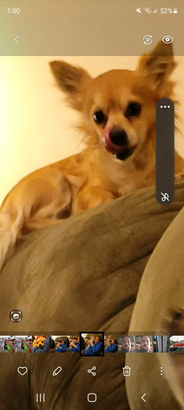 Lost dog in Vine Grove, KY, 40175