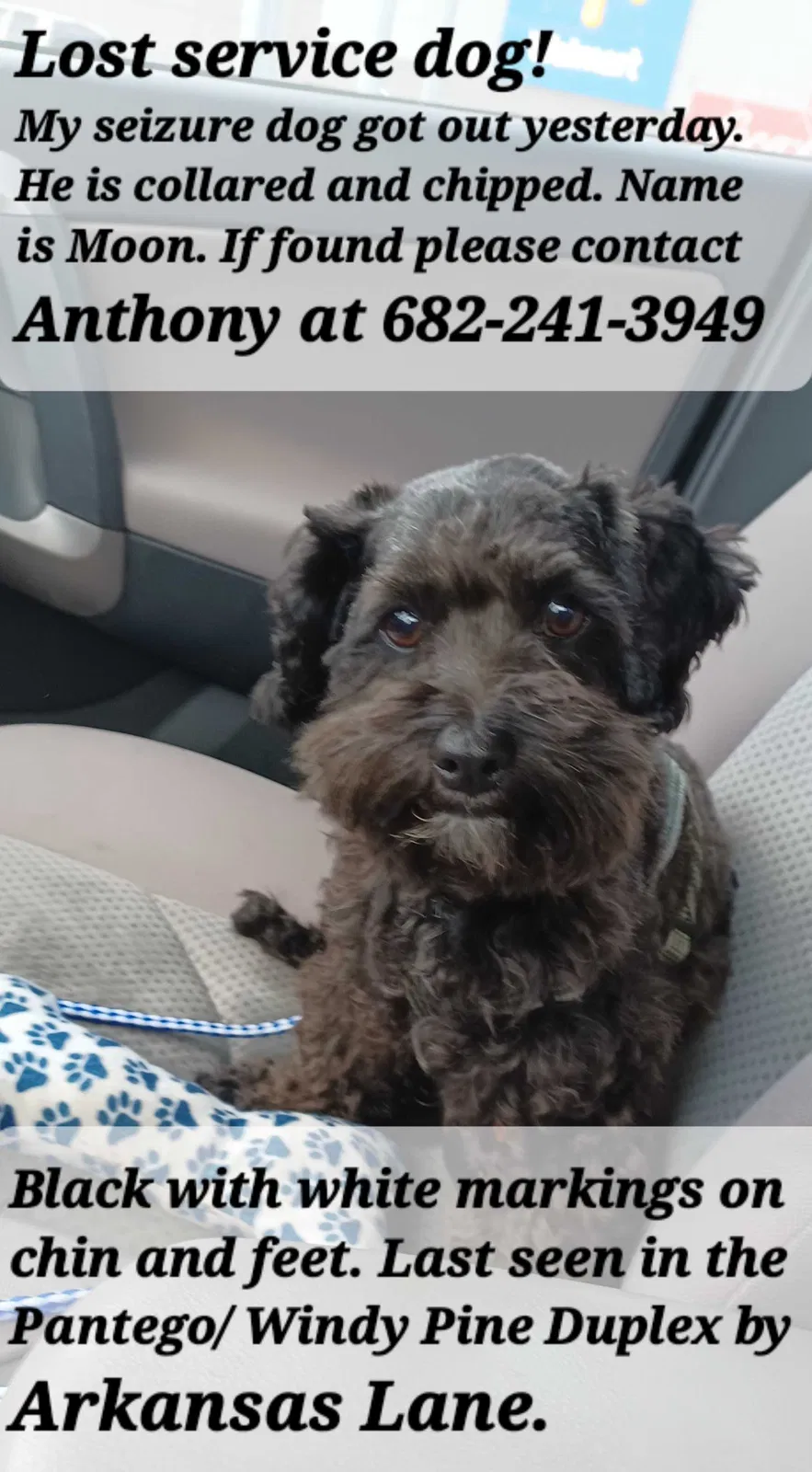 Lost dog in Arlington, TX, 76015